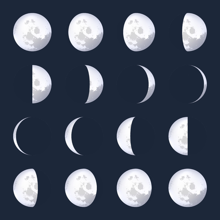 Creative vector illustration of realistic moon phases schemes isolated on transparent background. Art design lunar calendar. Different stages of moonlight activity. Abstract concept graphic element