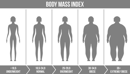 Creative vector illustration of bmi, body mass index infographic chart with silhouettes and scale isolated on transparent background. Art design health life template. Abstract concept graphic element.のイラスト素材