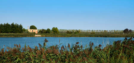 A tree in a rural house without roof, in the lagoon of Caorle, in Brussa, province of Veniceの写真素材
