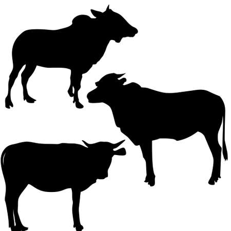 Illustration vector graphic, set of cow's silhouette. Good for your icon, etcのイラスト素材