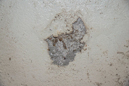 Close-up of damaged white wall with exposed concrete, showing deterioration and the need for repair, highlighting texture and imperfections.の写真素材