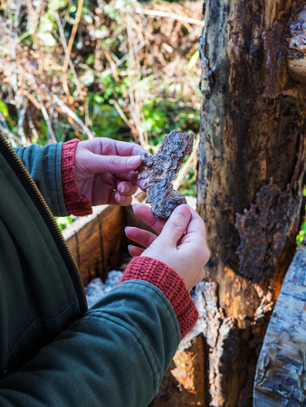 Female hands hold a piece of wood. The image can be used as a concept of connection with nature, relaxation, replenishment of energy.の写真素材
