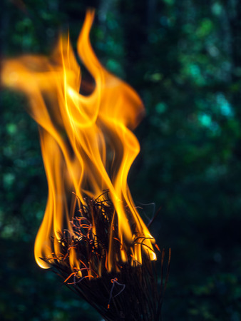 A beautifully burning branch of a dry Christmas tree. Blurred background. Safe for the environment and the forest.の写真素材