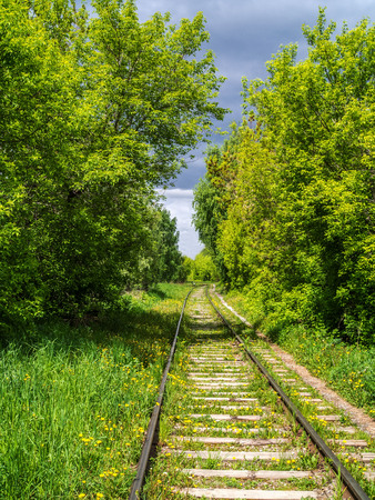 View along the railway. A hiking trail is nearby.. The road for the train on the sides of the green vegetation and forestの写真素材