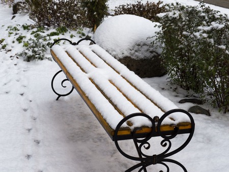 Bench in the park alley covered with snow in early winter. Bird 's tracks. Vintage style.の写真素材