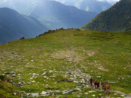 A rider with three horses walks along the path to the mountains. Bags with provisions on horses.の写真素材