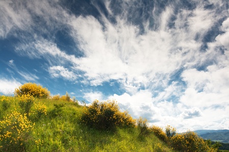 Hilly countryside of le Marche, Italyの写真素材