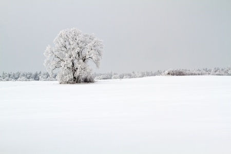 Winter landscape in the district Uckermark, Brandenburg, Germanyの写真素材