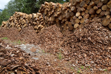 A pile of wood logs ready for transportの写真素材