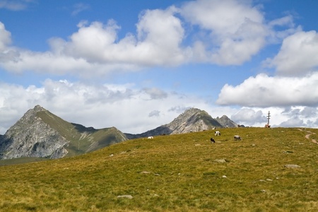 Summer mountain panorama with pasture in South Tyrol, Italyの写真素材