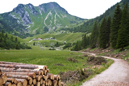 Die Rotwand im Mangfallgebirge (bayrische Alpen)の写真素材