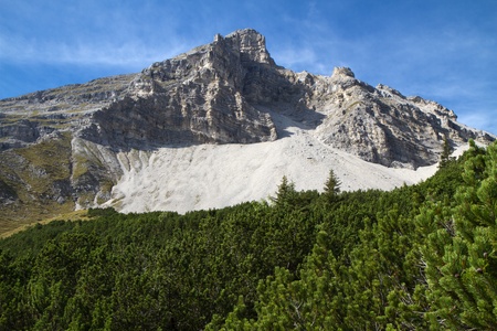 Mountain with  Pinus mugo branches in the foreground, Bavaria, Germanyの写真素材