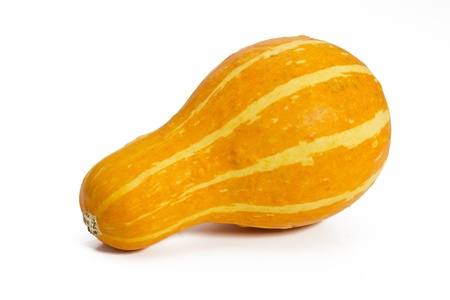 Ornamental pumkin on white backgroundの写真素材