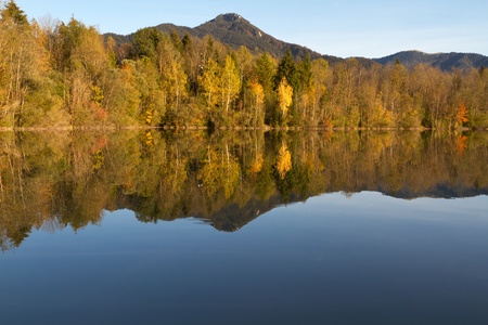 Trees with autumn leaves on a lake in Bavaria, Germanyの写真素材