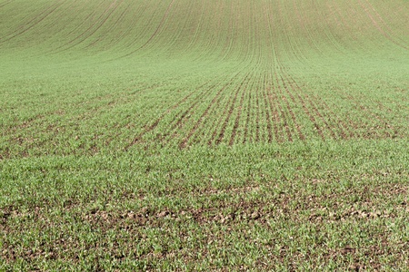 Farming in autumn in Bavaria, Germanyの写真素材