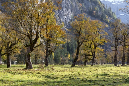 Ahornboden (Maple plain) valley in the Karwendel mountains in Tirol (Austria) の写真素材