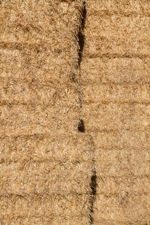 Golden straw in a haystack as background