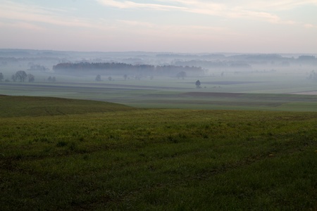 Field scene with layers of mist and fog in the early morning の写真素材