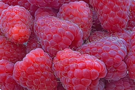 Fresh Raspberries format filling as background