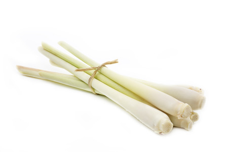 Group of Lemongrass tied togetherの写真素材