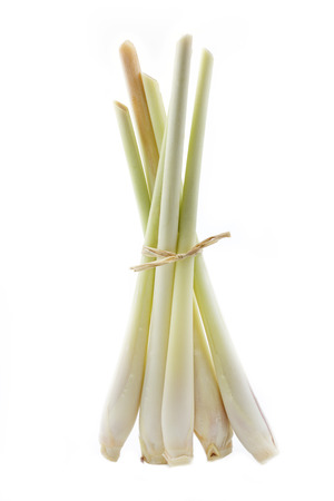 Lemongrass standing on white の写真素材