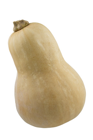 Butternut pumpkin, isolated on whiteの写真素材