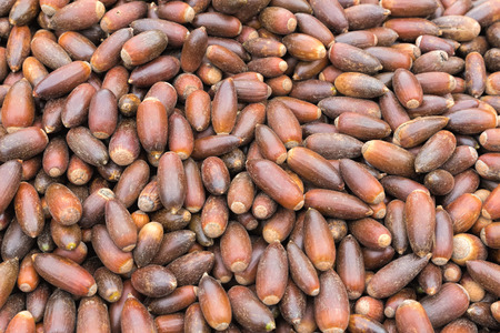 Argan nuts for sale on a market in Morocco
