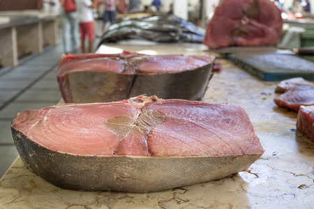Fresh tuna fish on a marketの写真素材