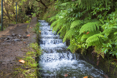 Hiking along Madeira's historic water supply system, Portugal