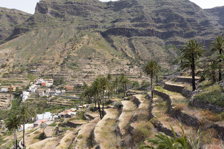 Agriculture on Gomera Iceland Spainの写真素材