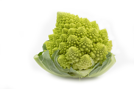 Whole romanesco on white backgroundの写真素材