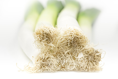 Fresh leek on white backgroundの写真素材