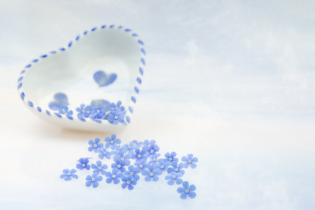 Forget me not flowers with texture overlayの写真素材