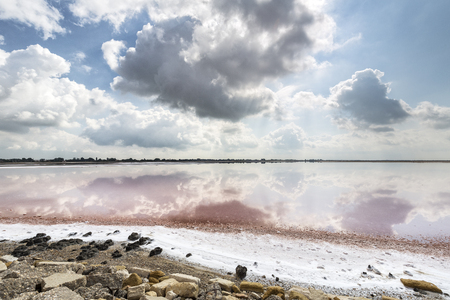 Salt production in the Camargue district, Southern Franceの写真素材