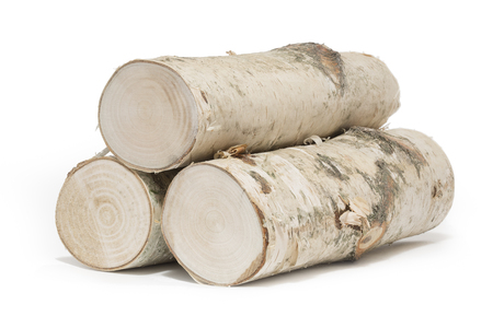 Freshly harvested birch wood, isolatedの写真素材