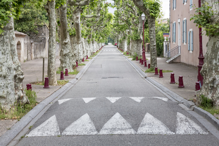 Road with plane trees in Viviers, Franceの写真素材