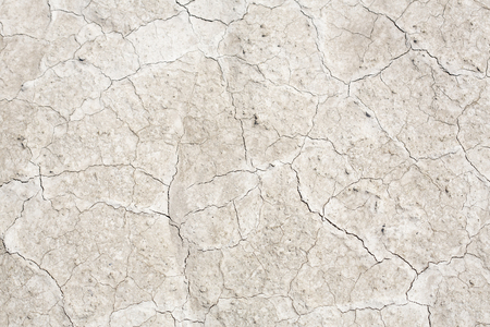 Cracked earth after a drought