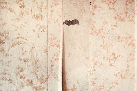 Weathered old wallpaper on a wall as backgroundの写真素材