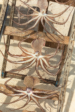 Traditional dried fish on a beach in Portugal