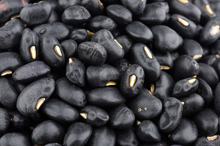Close-up of black beanの写真素材