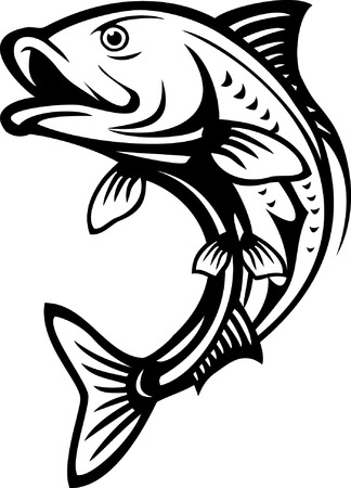 fish jump vectorのイラスト素材