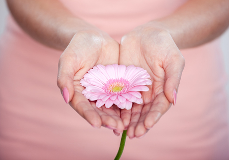 Beautiful and natural. Close-up of beautiful female hands holding flowerの写真素材