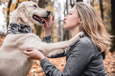 My best friend.Portrait of beautiful woman stroking the dog in the autumnal park.の写真素材