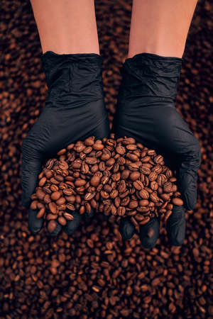 Worker hands holding freshly roasted coffee beans. Vertical photo.の写真素材