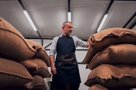 Serious unshaved master situating near full of coffee beans sack at the factory. Work concept. Bottom viewの写真素材