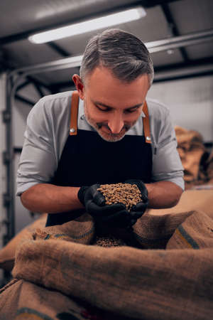 Coffee trader takes a handful of fresh roastery coffee beans to check the quality. Vertical photo.の写真素材