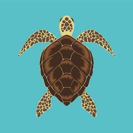 Vector image of a large sea turtle.のイラスト素材