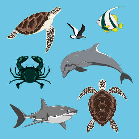Set of vector images dolphin, turtles, shark, crab, seagull, fish.のイラスト素材