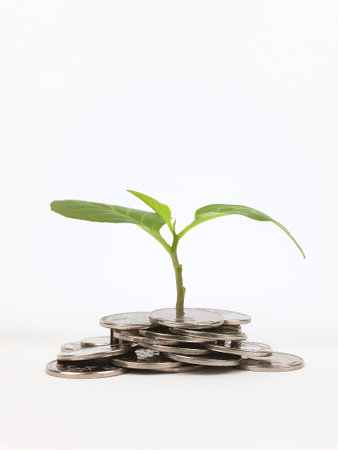 investment illustration depicted with coins and plant growing and on a white background