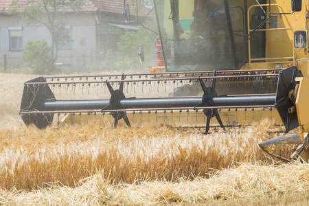 Harvesting barley with combine harvesterの写真素材